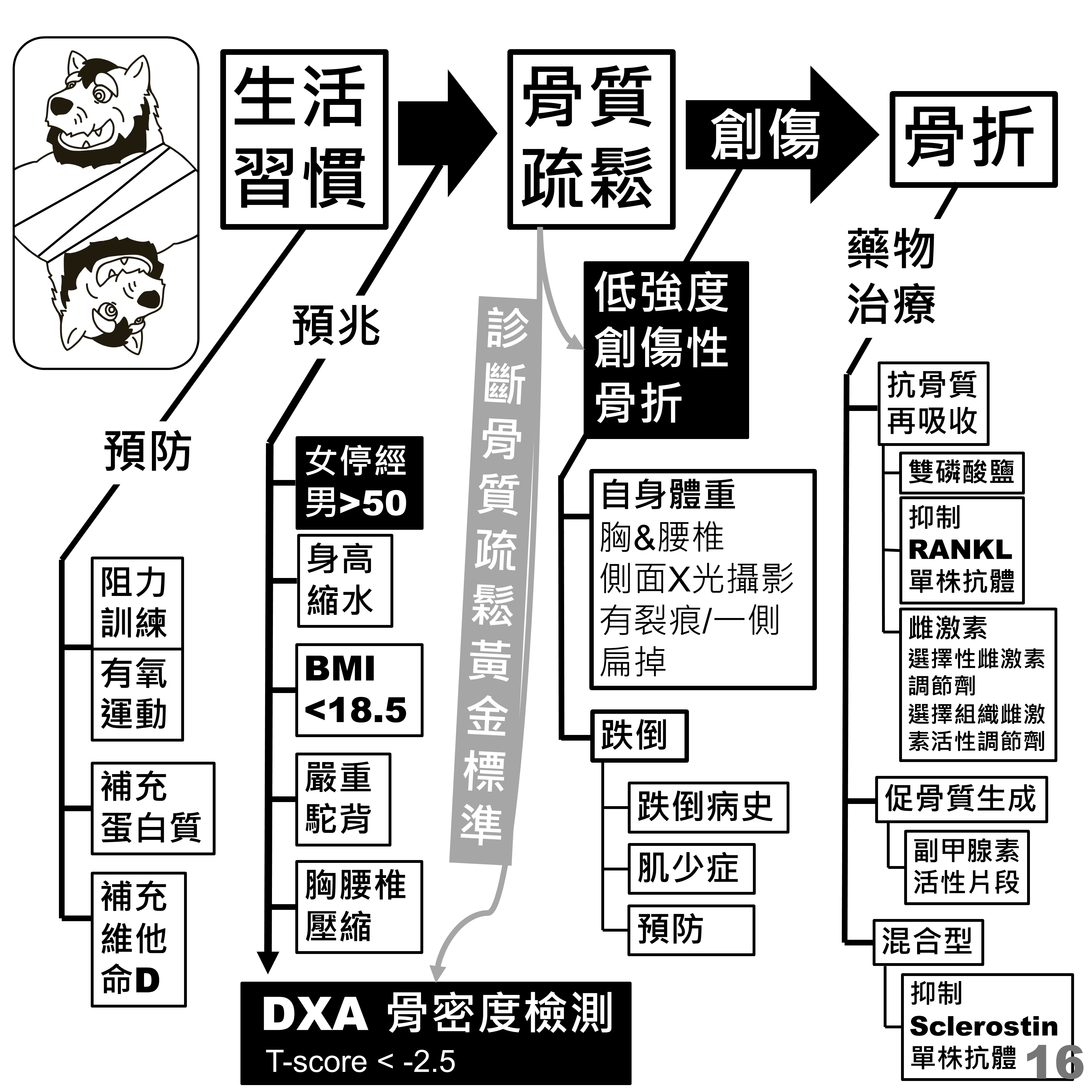 骨鬆總覽：從生活習慣、預防、預兆、DXA 到骨折與藥物