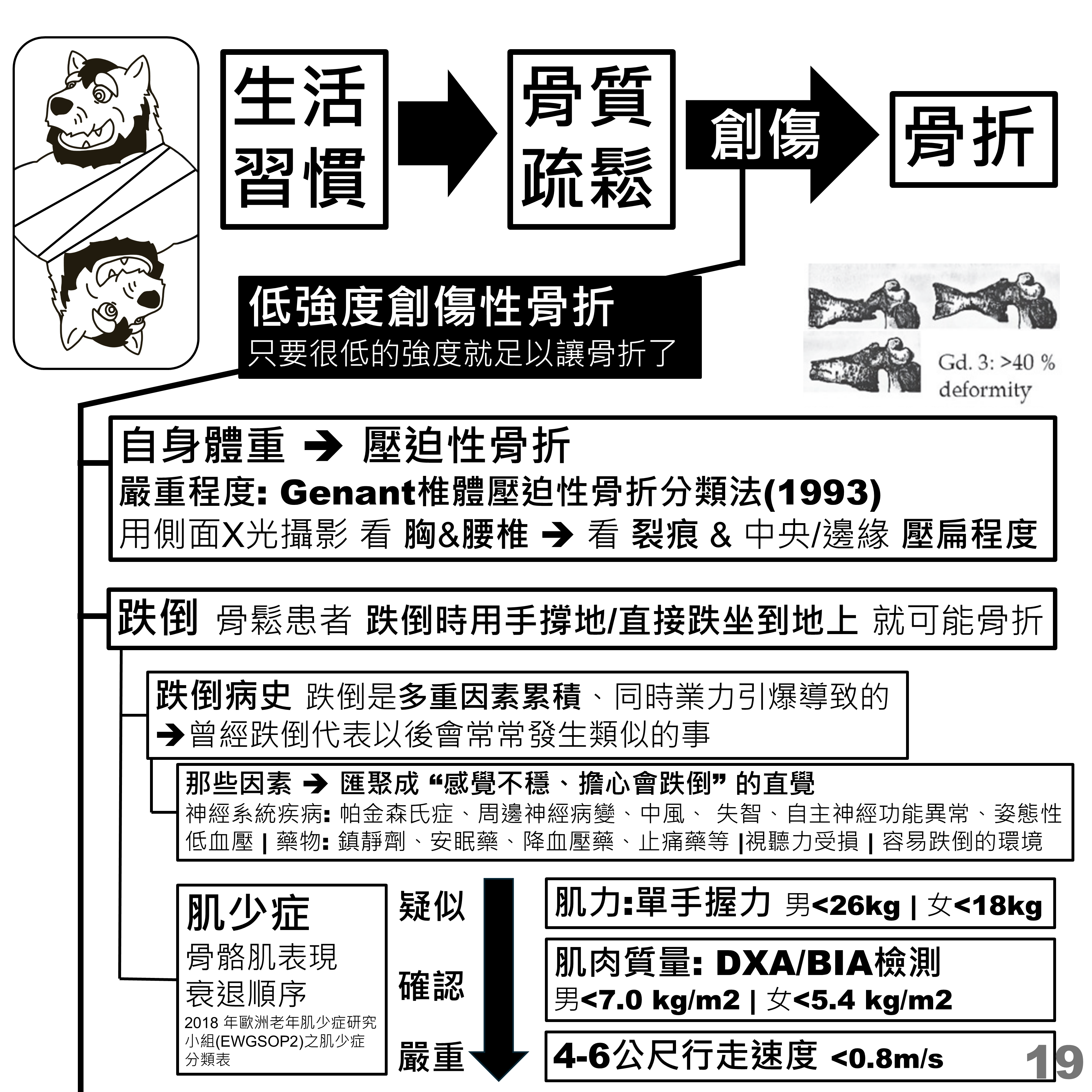低強度創傷性骨折、跌倒危險因子與肌少症 EWGSOP2 判斷