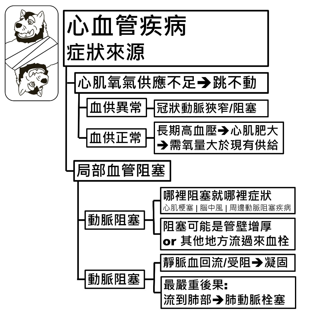 心血管疾病症狀來源：心肌氧氣供應不足（血供異常與血供正常兩種情況），以及局部血管阻塞（動脈阻塞與靜脈阻塞）