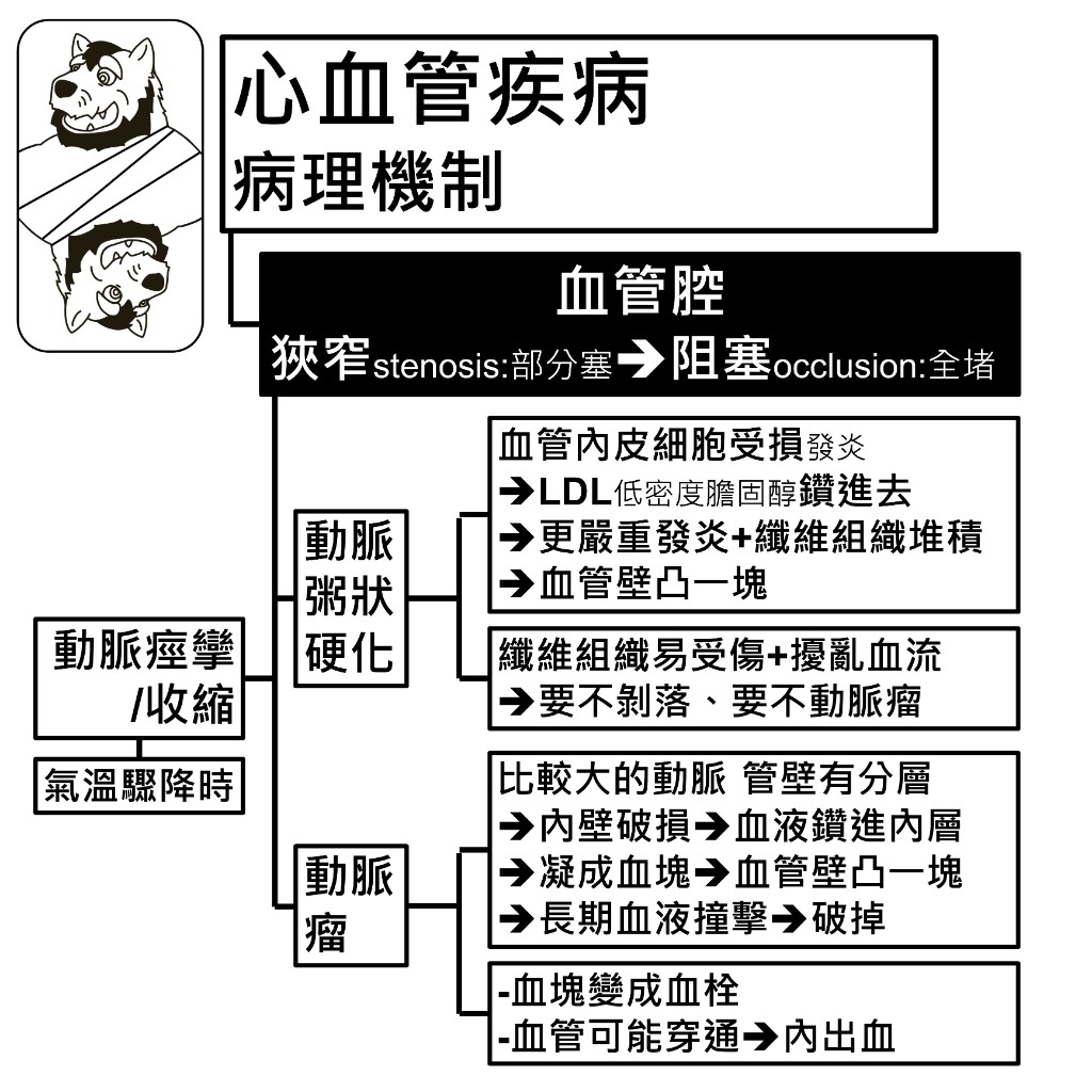 血管腔狹窄與阻塞的成因：動脈粥狀硬化、動脈瘤與動脈痙攣收縮的發展過程