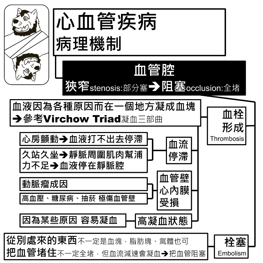 血栓形成與栓塞：Virchow Triad 凝血三部曲的血流停滯、血管壁受損與高凝血狀態三個條件