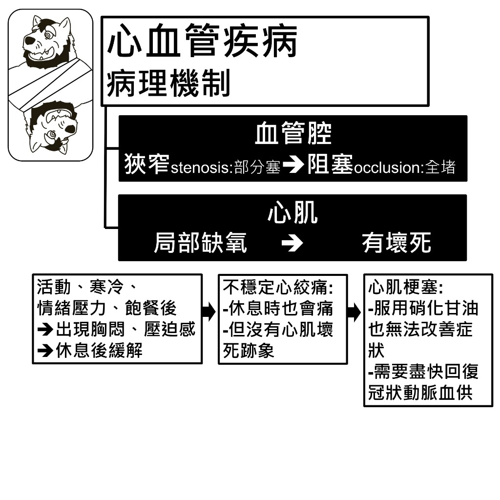 心肌缺氧的三個階段：穩定性心絞痛、不穩定心絞痛與心肌梗塞的區別