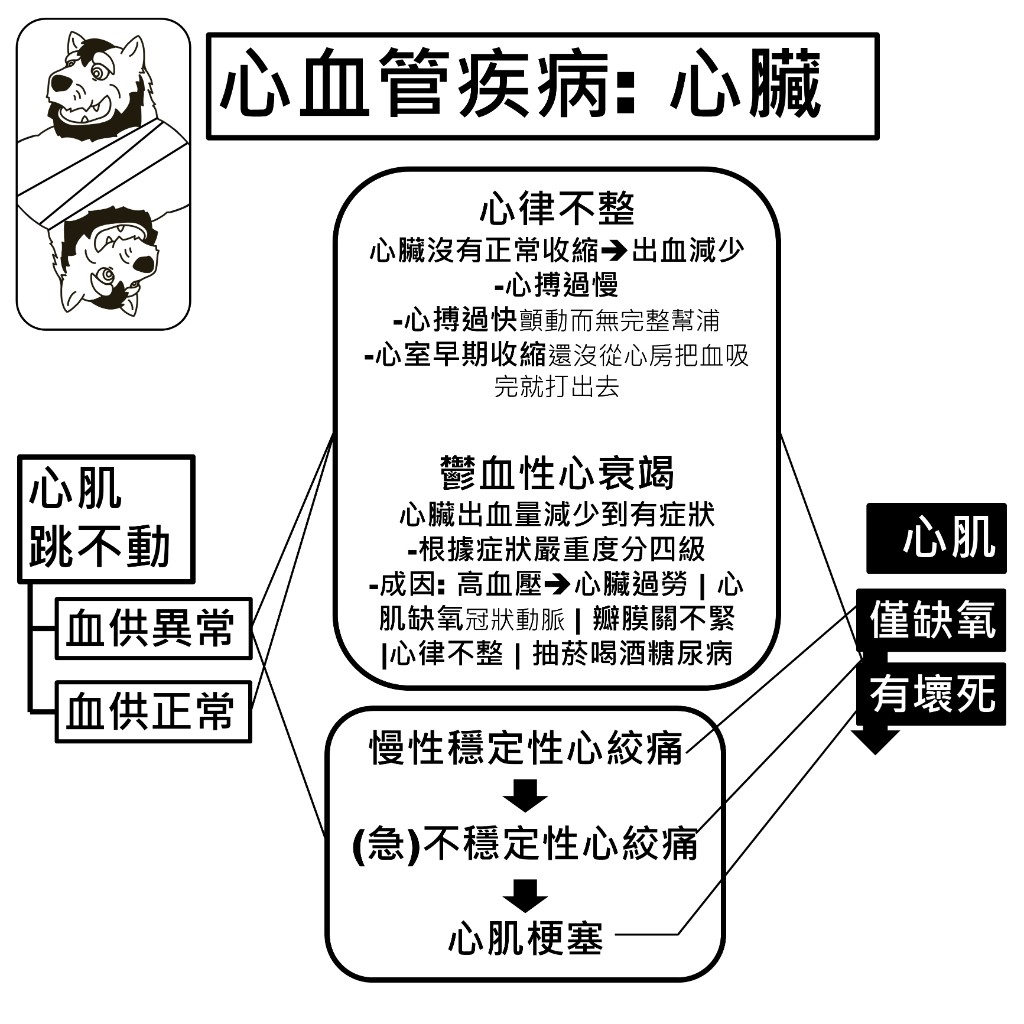 心臟疾病：心律不整、鬱血性心衰竭，以及慢性穩定性心絞痛到不穩定性心絞痛再到心肌梗塞的進程