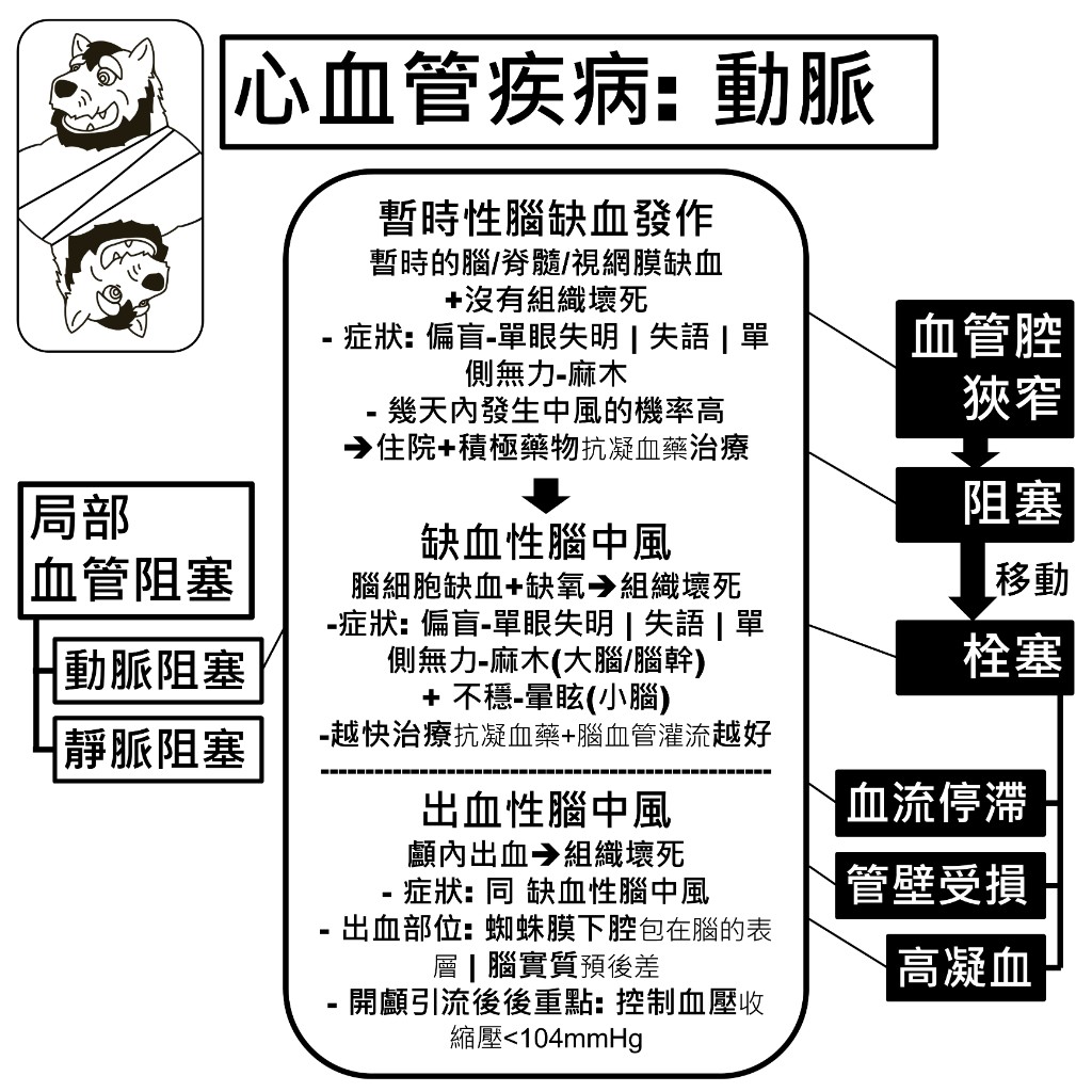 腦部動脈疾病：暫時性腦缺血發作、缺血性腦中風與出血性腦中風的症狀與處理