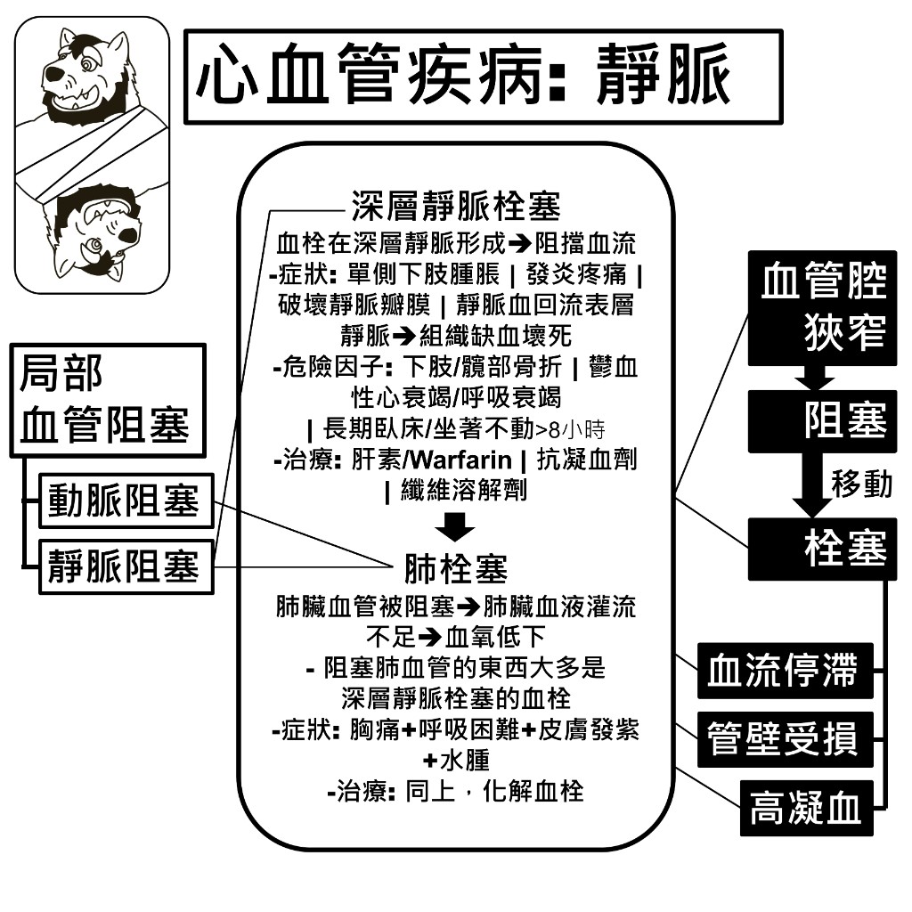 靜脈疾病：深層靜脈栓塞的症狀、危險因子與治療，以及進展為肺栓塞的機制