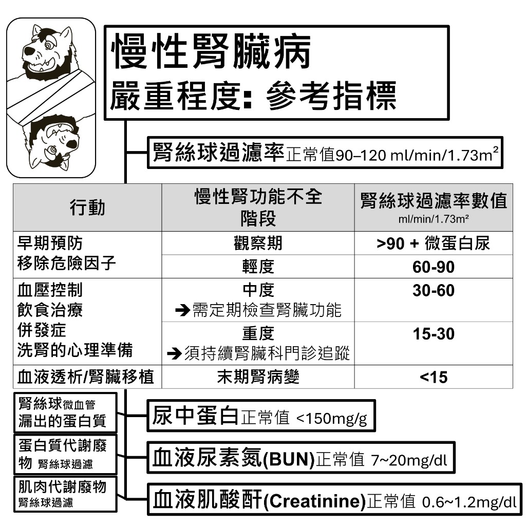 慢性腎臟病嚴重程度參考指標：腎絲球過濾率分期表，以及尿中蛋白、血液尿素氮、血液肌酸酐的正常值