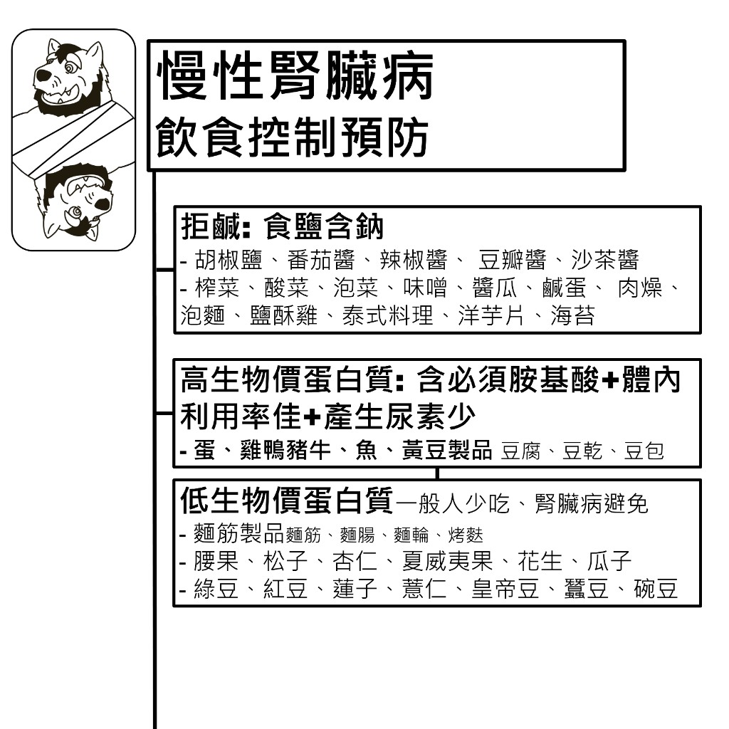 慢性腎臟病飲食控制：拒鹹的高鈉食物清單，以及高生物價與低生物價蛋白質的分類