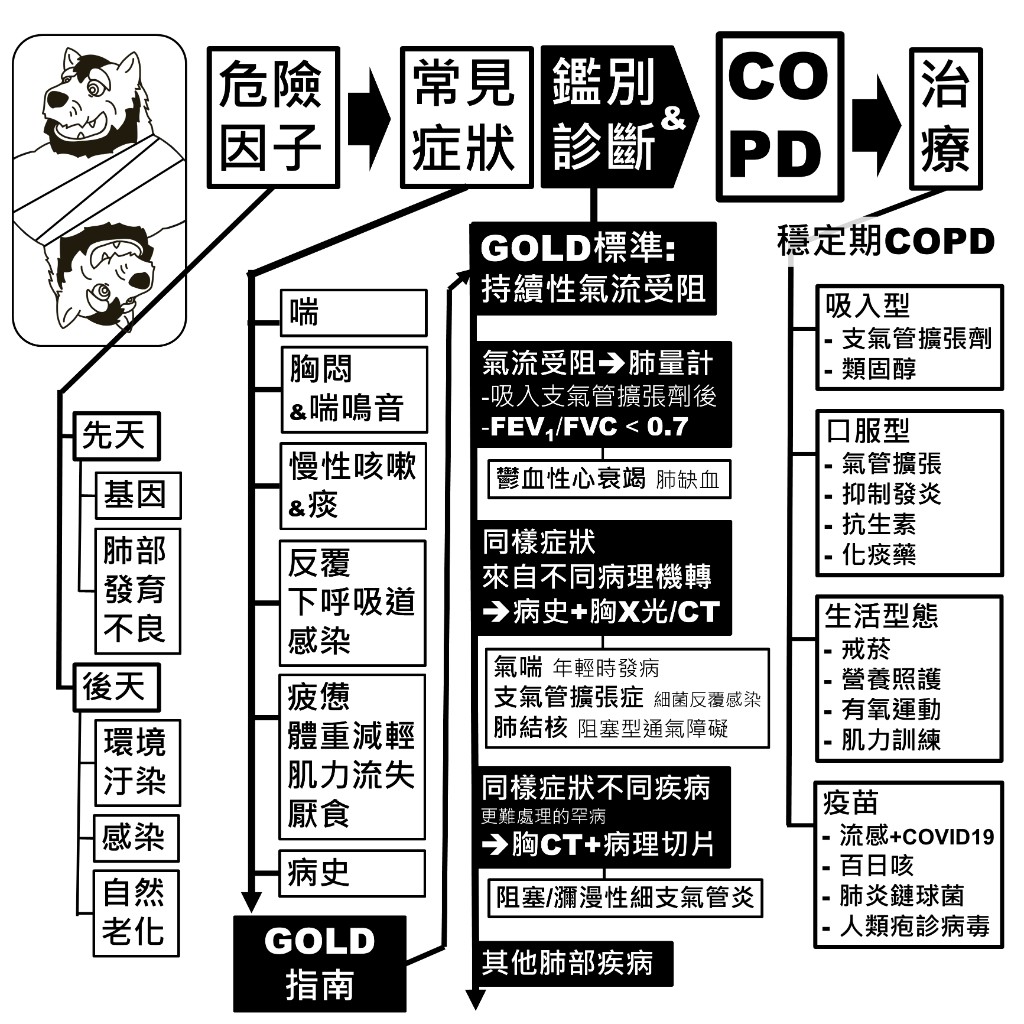 慢性阻塞性肺病總覽：危險因子、常見症狀、GOLD 診斷與鑑別、穩定期治療路徑