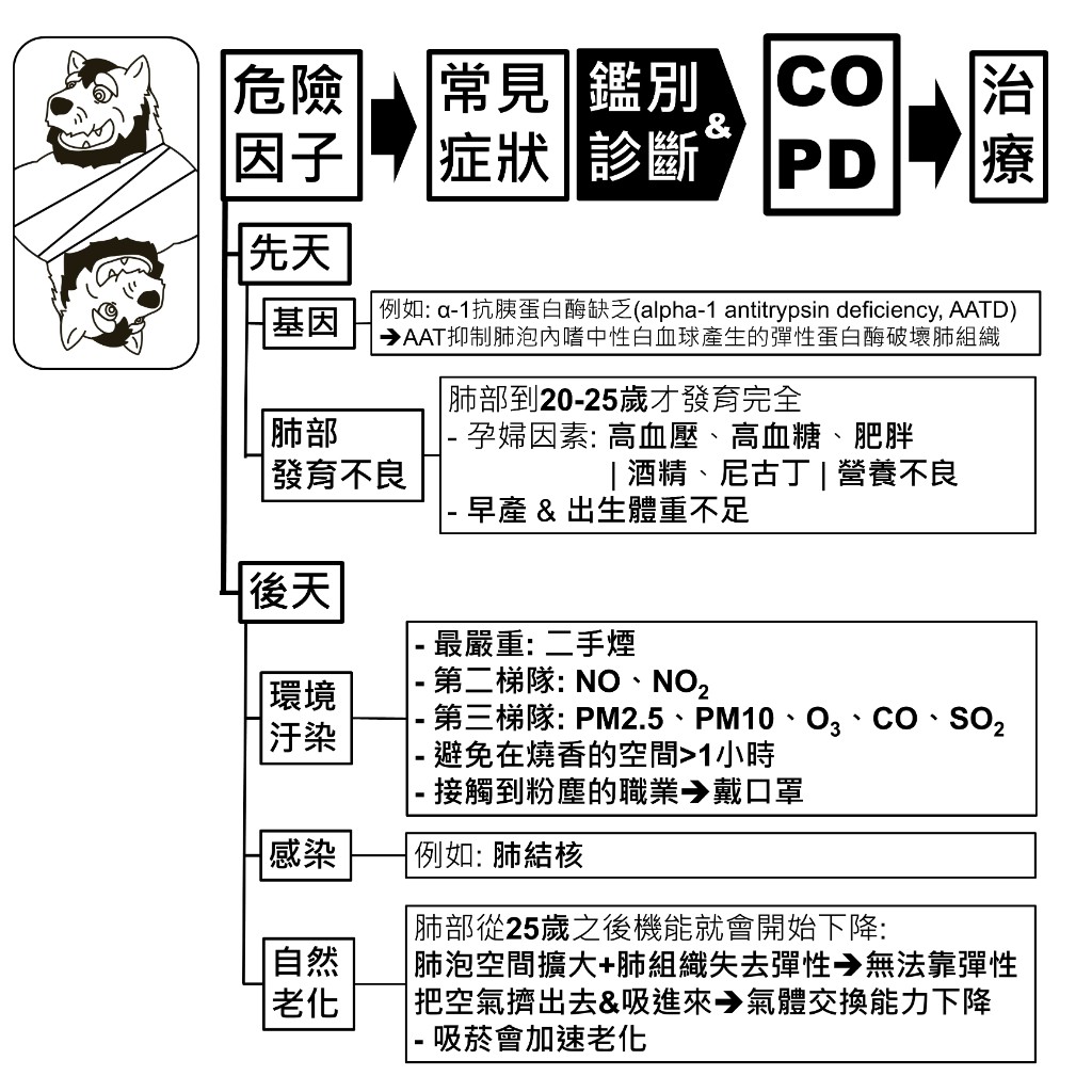 COPD 危險因子：先天（基因、肺部發育不良）與後天（環境汙染、感染、自然老化）