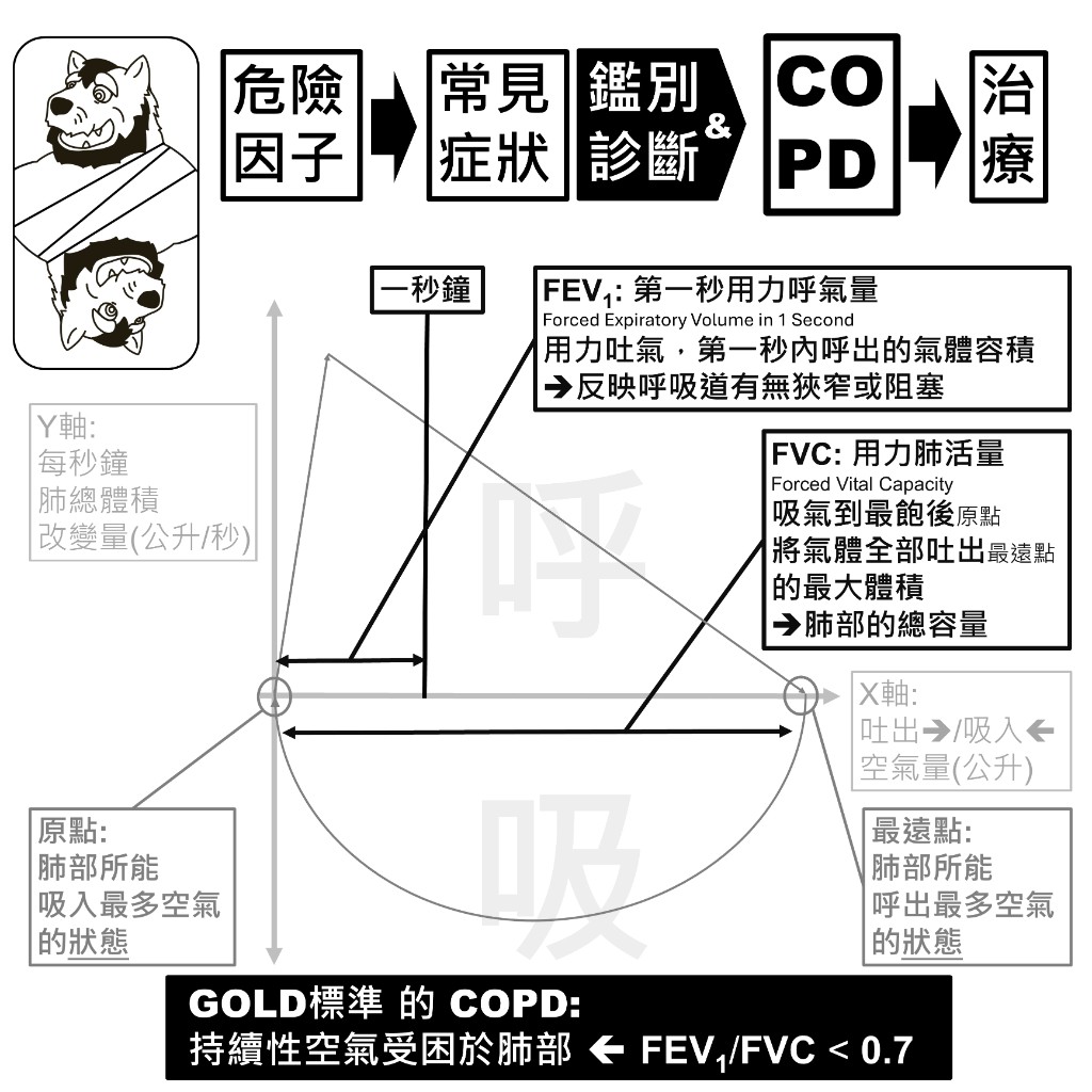 肺量計示意：FEV1 第一秒用力呼氣量與 FVC 用力肺活量，GOLD 標準為 FEV1/FVC 小於 0.7