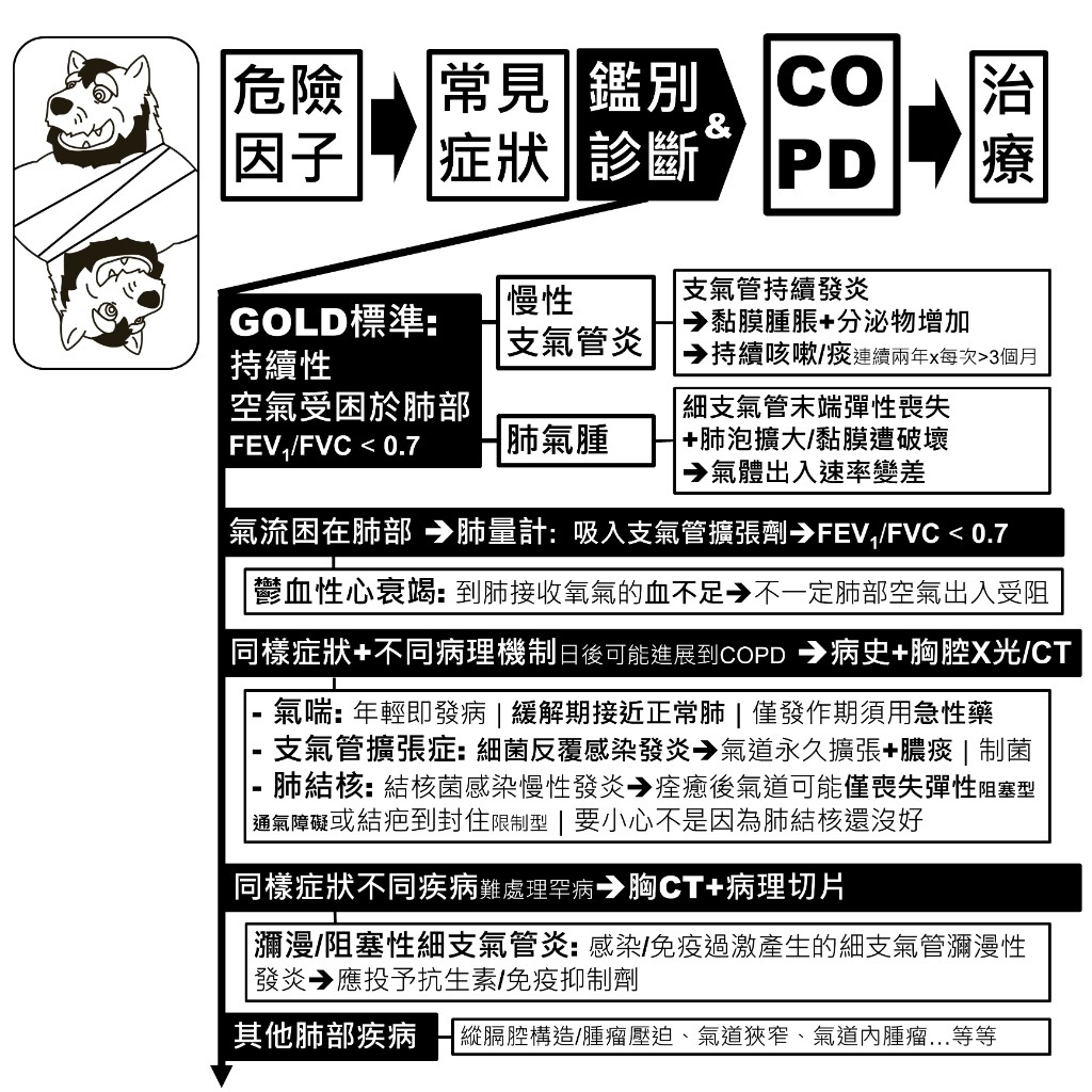 COPD 鑑別診斷：慢性支氣管炎與肺氣腫、心衰竭、氣喘、支氣管擴張症、肺結核與其他肺部疾病