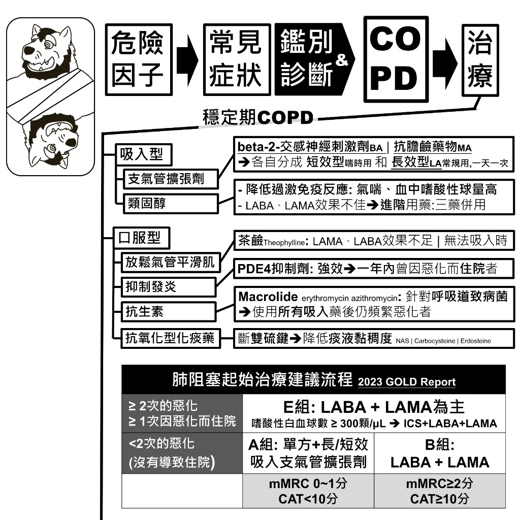 穩定期 COPD 藥物：吸入型支氣管擴張劑與類固醇、口服藥，以及 2023 GOLD 起始治療分組