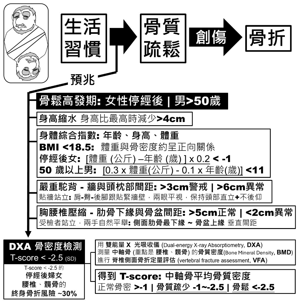 骨質疏鬆預兆與 DXA 骨密度檢測 T-score 診斷標準
