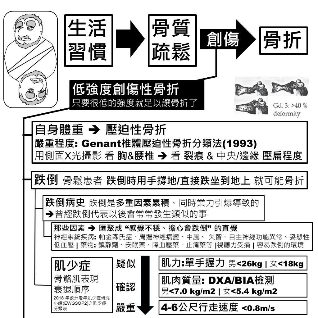低強度創傷性骨折、Genant 椎體壓迫性骨折分類、跌倒風險因子與肌少症 EWGSOP2 診斷