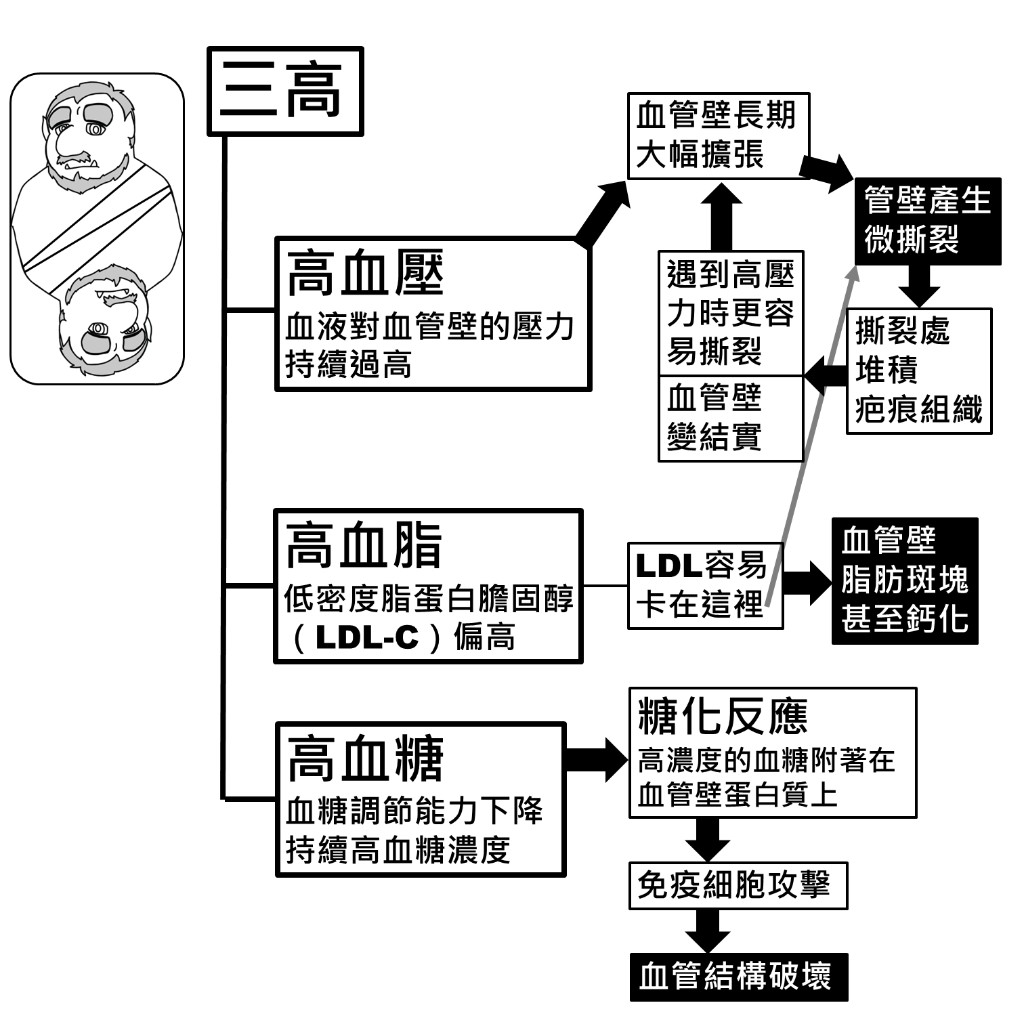 三高傷害血管機制：高血壓造成管壁微撕裂與疤痕、高血脂造成脂肪斑塊鈣化、高血糖造成糖化反應與血管結構破壞