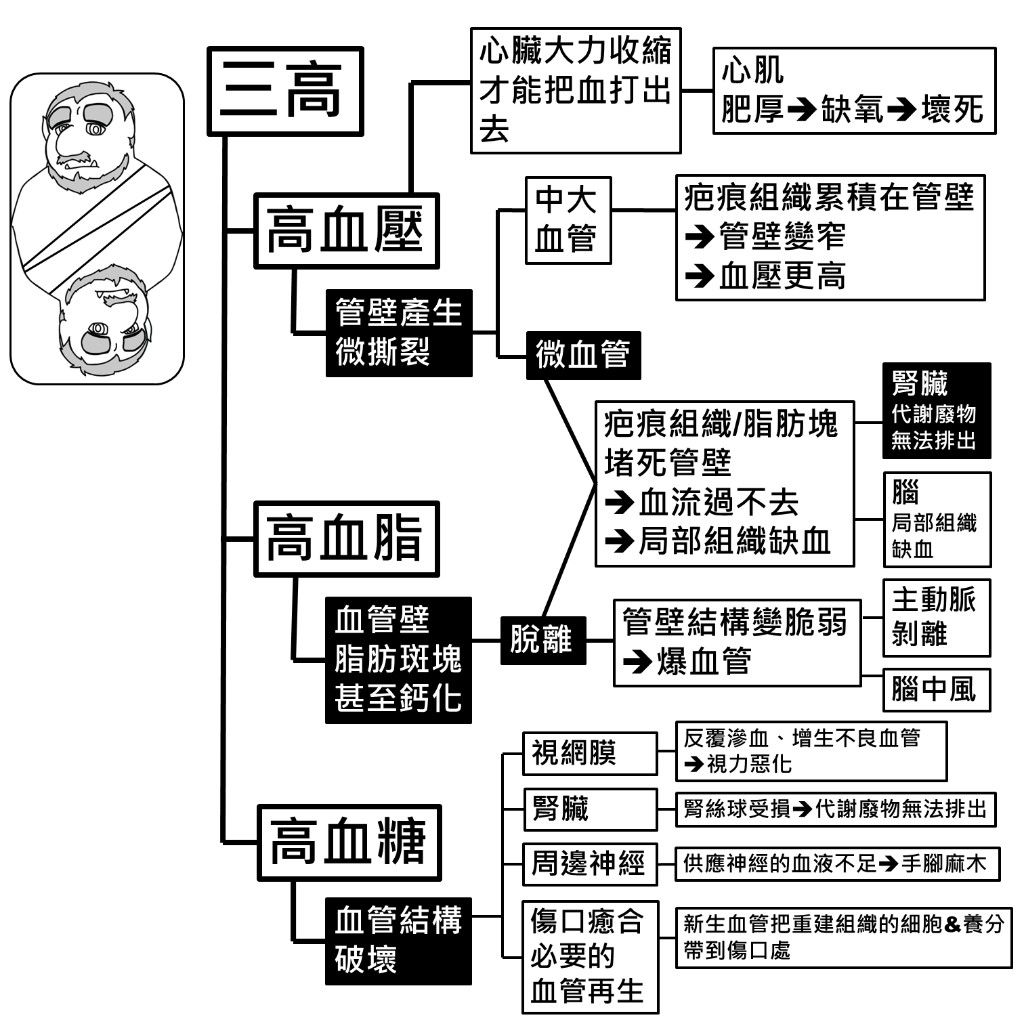 三高的後果：高血壓影響心臟與大小血管、高血脂造成斑塊脫離與中風、高血糖影響視網膜腎臟神經與傷口癒合