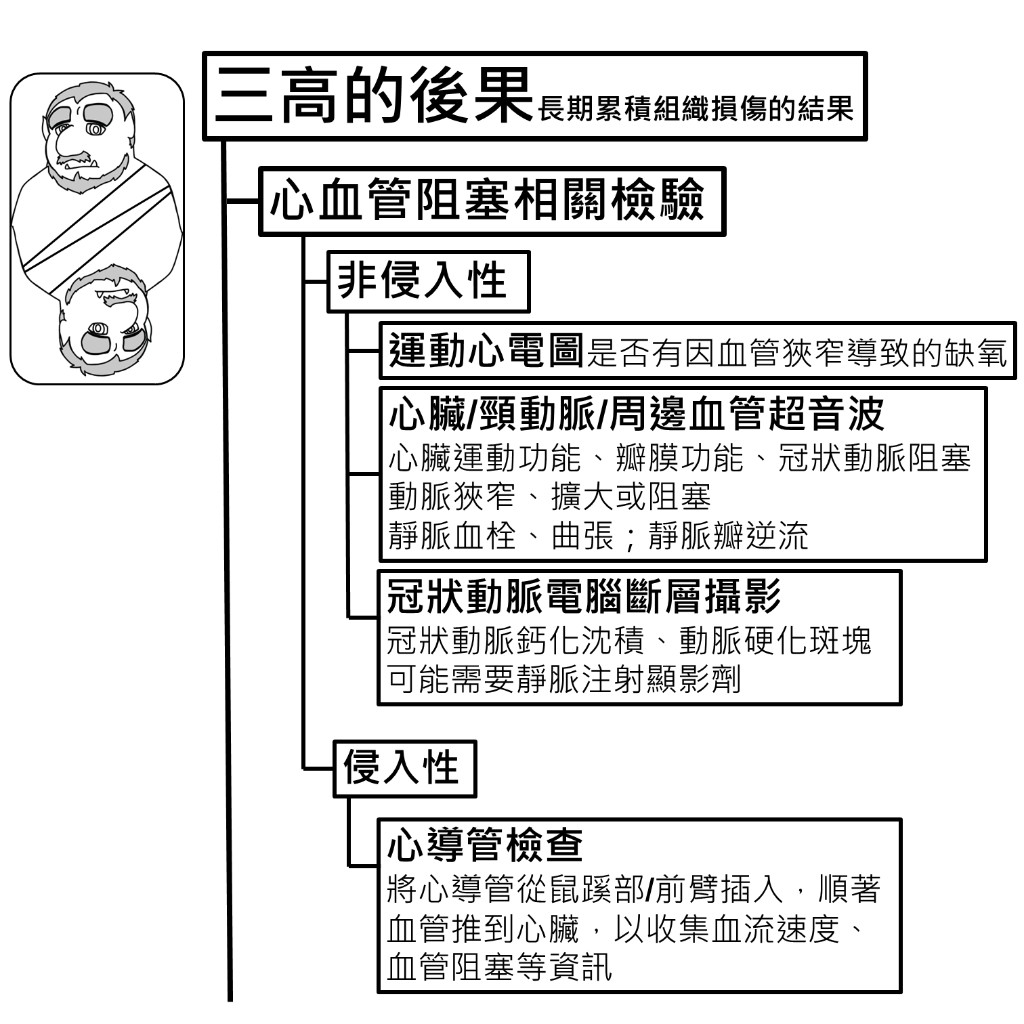 心血管阻塞相關檢驗：非侵入性（運動心電圖、超音波、冠狀動脈電腦斷層）與侵入性（心導管檢查）