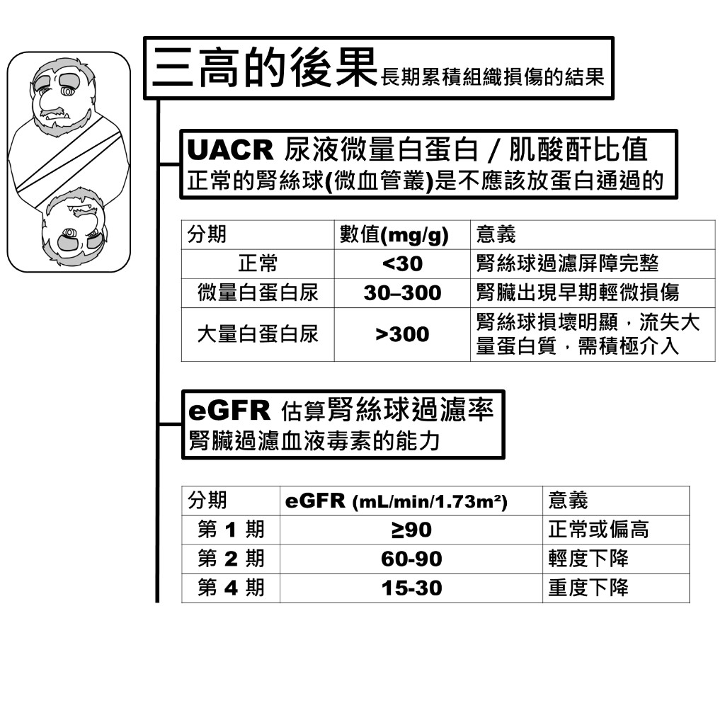 腎功能指標：UACR 尿液微量白蛋白比值與 eGFR 估算腎絲球過濾率分期